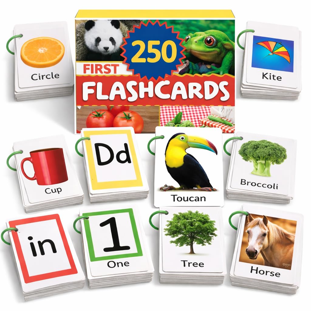 Amazon.com: 500 Words Thick & Sturdy Learning Flash Cards for